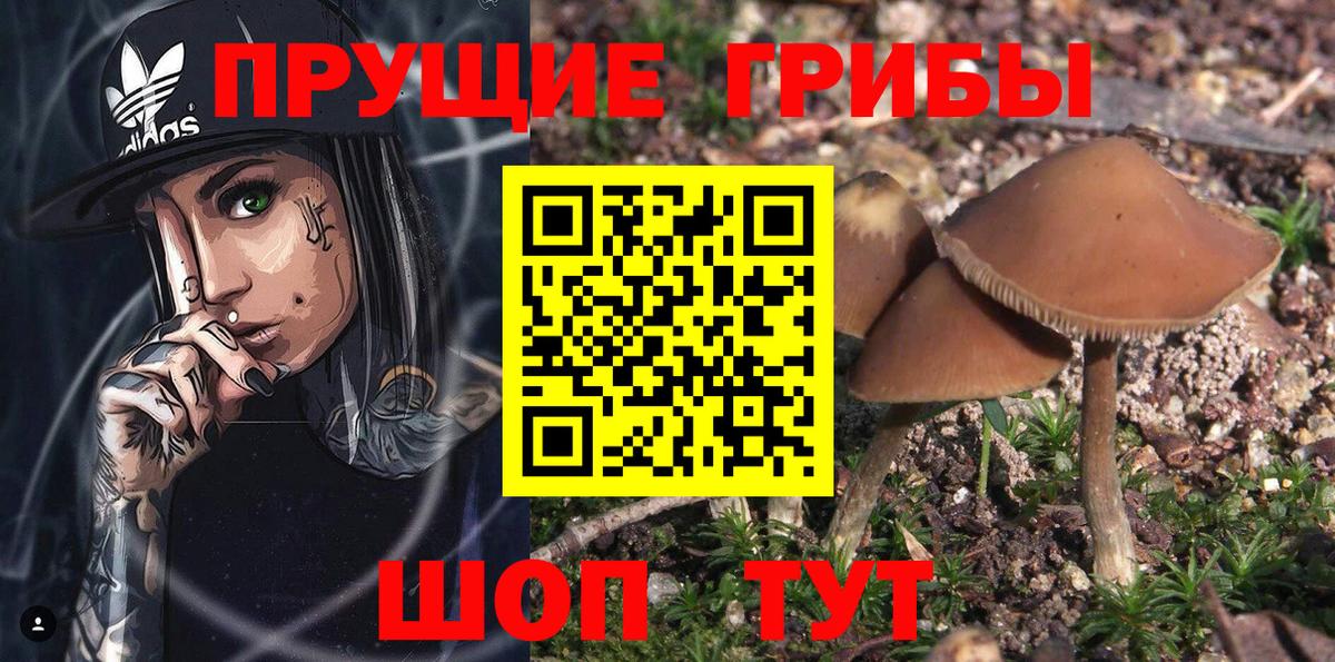 Псилоцибиновые грибы Magic Shrooms Волгоград