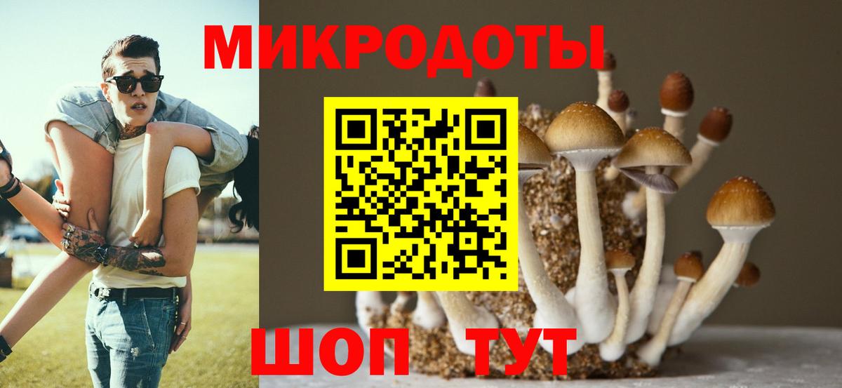 Волгоград  Псилоцибиновые грибы MAGIC MUSHROOMS  Вход с VPN 